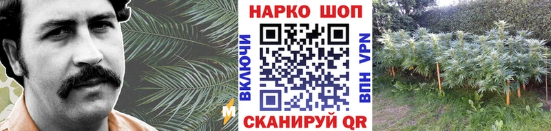 APVP Медногорск