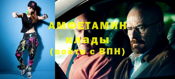 прущие грибы Вяземский