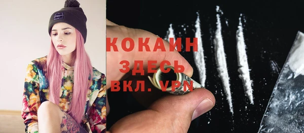 прущие грибы Вяземский