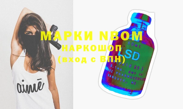 прущие грибы Вяземский