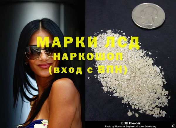прущие грибы Вяземский