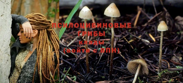 2c-b Вязники