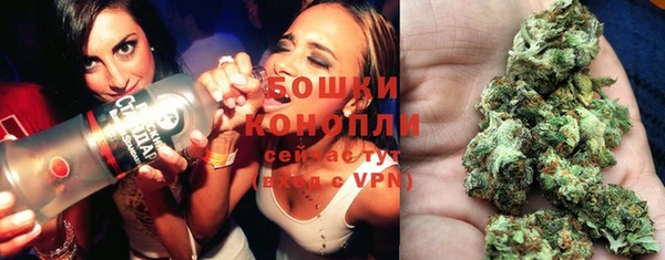 прущие грибы Вяземский