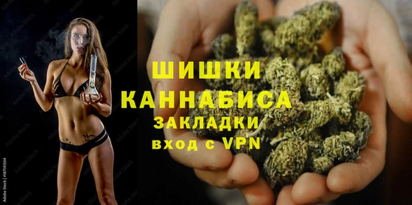 прущие грибы Вяземский