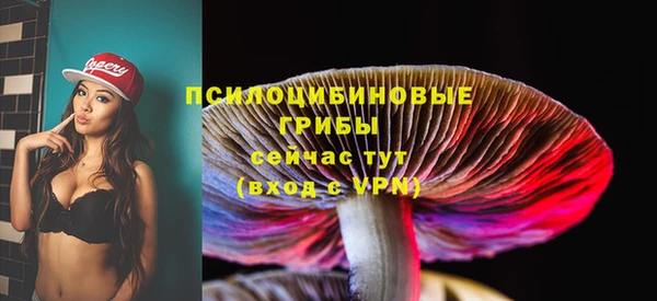 прущие грибы Вяземский