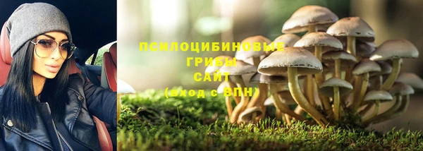 2c-b Вязники